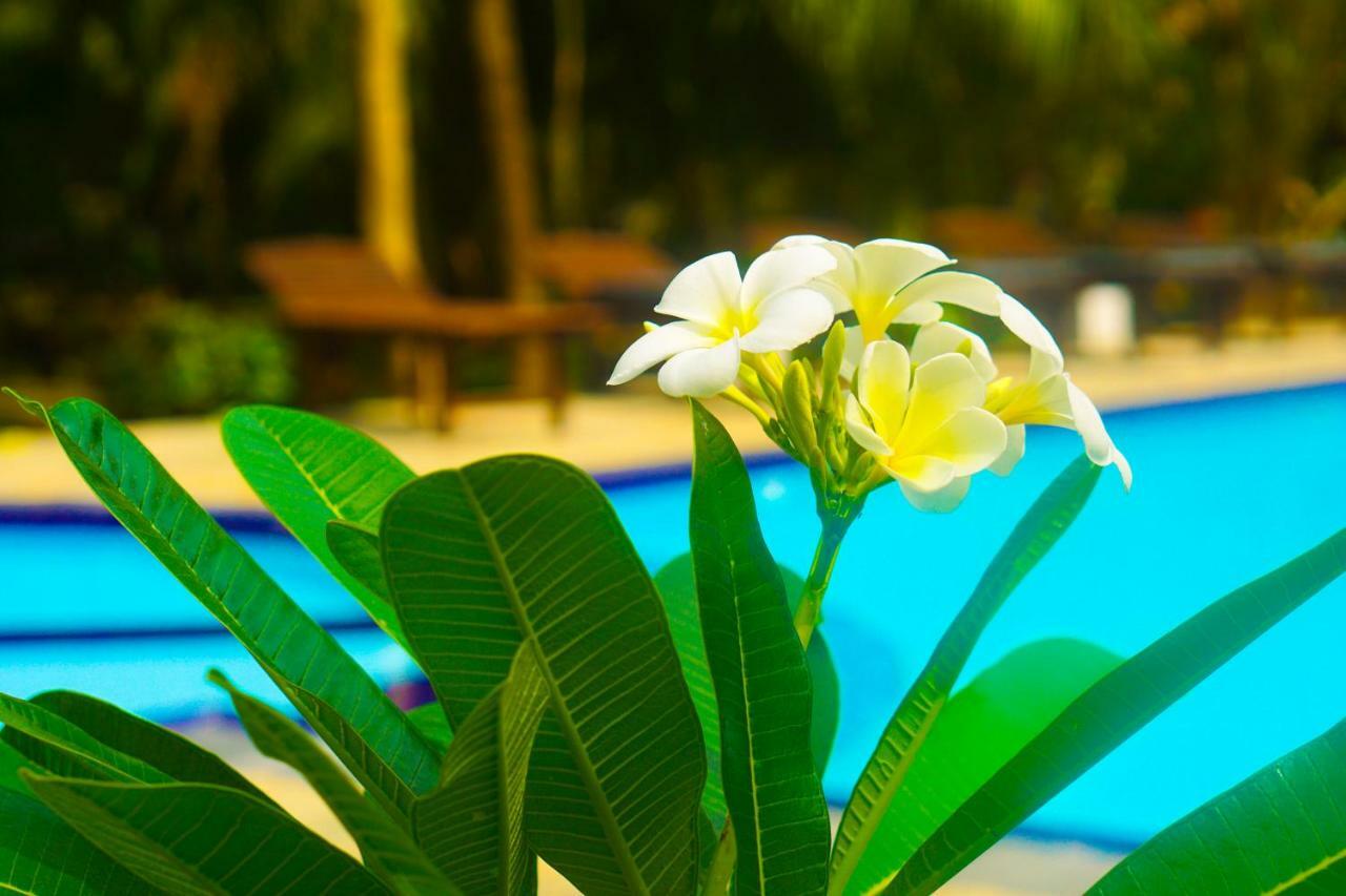 Green Garden Cabanas Tangalle Buitenkant foto